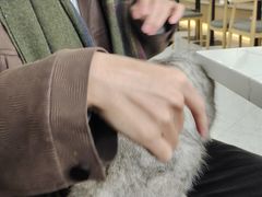 -喵园·猫主题咖啡厅·撸猫·猫咖(国贸店)