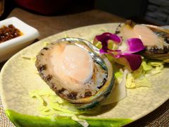 鲍鱼-金海阁海鲜火锅