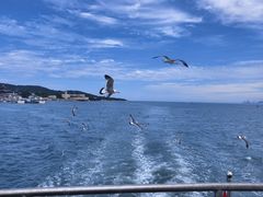 -刘公岛景区