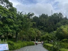 -腾冲洞山温泉村