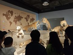 -蜜雪冰城(国权路地铁口店)