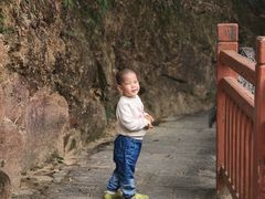 -广州白江湖森林公园