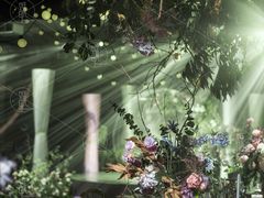 -桉树林A coffee 森林餐厅(三圣乡店)