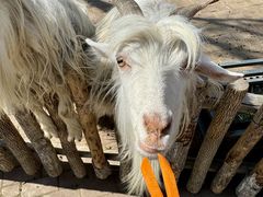 -水上乐园·欢乐世界