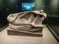 -自贡恐龙博物馆