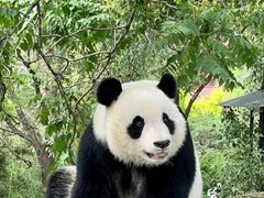 -天津市动物园