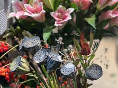 -沪花拾者(好再来花卉鲜花店)