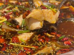 -乡土特色.冷锅鱼.牦牛肉汤锅