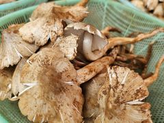 -南坛综合农贸市场