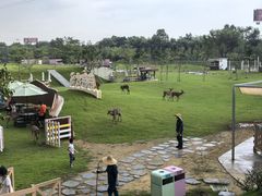 -盈香心动乐园