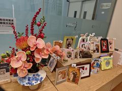 -海马体照相馆(成都来福士广场店)