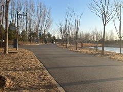 -东郊湿地公园