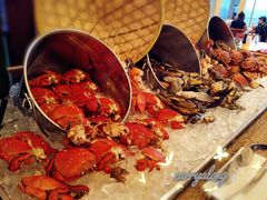 -视界美食自助餐厅·石家庄希尔顿酒店