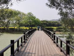 -八卦田遗址公园