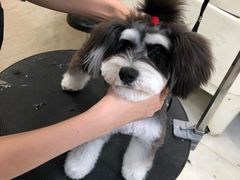 -多卡布奇宠物生活馆(上林世家店)