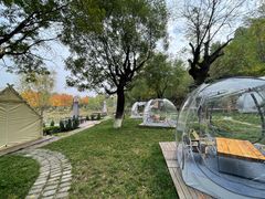 -Supine Bistro溯泮餐厅