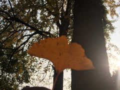 -溪口-滕头旅游景区