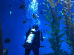 -波塞冬旅游度假区