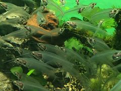 -常州海昌海洋探索馆