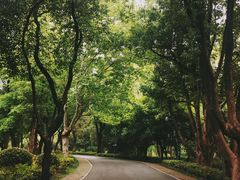 -东湖落雁景区