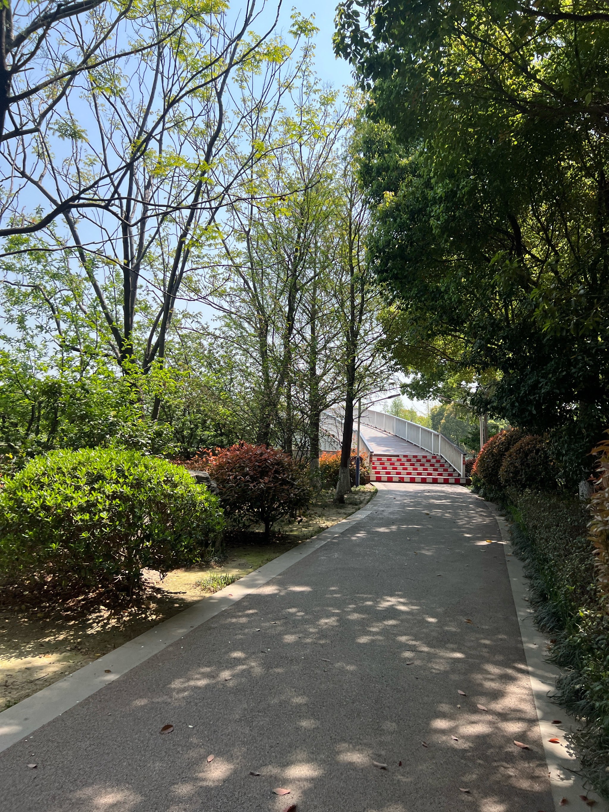 免费公园