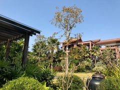 -广州都喜泰丽温泉度假酒店