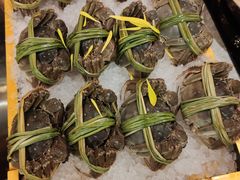 -一绪に寿喜烧(荟聚店)