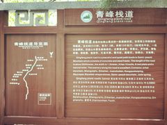 -青峰峡国家森林公园