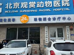 -北京观赏动物医院·24小时大型综合·猫专科·异宠专科