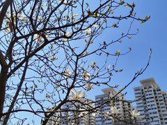 -贮水山儿童公园