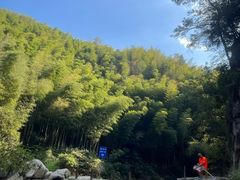 -莫干山风景区