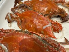 -大东海海鲜酒楼(渔人码头总店)