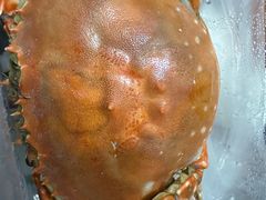 -威海海鲜王(窑头路店)