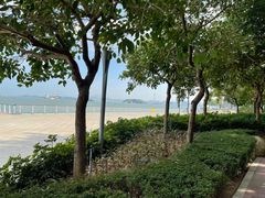 -海沧湾公园