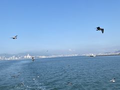 -刘公岛景区
