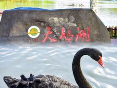 -上海野生动物园