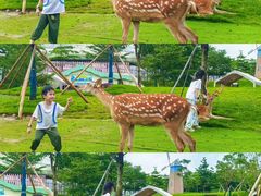 -盈香心动乐园
