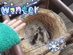 -野蔓果·山野菜(西湖景区·龙井茶田店)