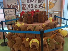 -凯德MALL(西直门店)