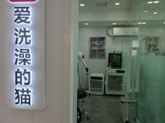 -爱洗澡的猫(望京店)