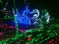-顺鑫绿色度假村