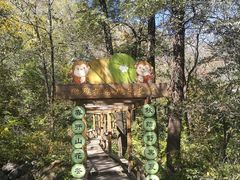-大岭沟猕猴桃谷风景区