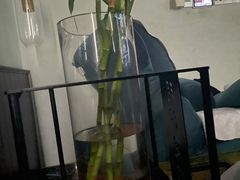 -玥汐·3D影院式足道SPA(万泰城店)