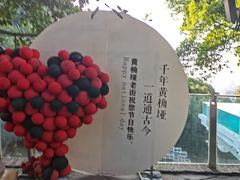 -南山植物园