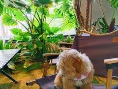 -J Create城市露营咖啡·简餐·宠物(上海动物园店)