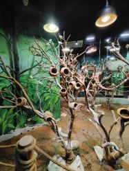 -Zoolung Zoolung动物主题公园(海信广场店)