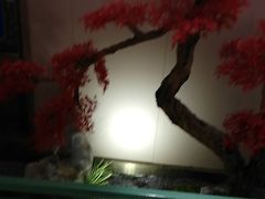 -大张烙馍村(泉山店)