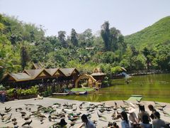 -西双版纳原始森林公园