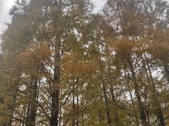 -上海第二工业大学(金海路校区)