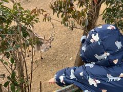-合肥野生动物园